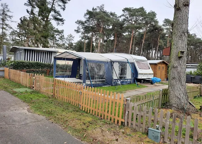 2Pers Caravan Op 5 Sterren Camping De Heldense Bossen photo