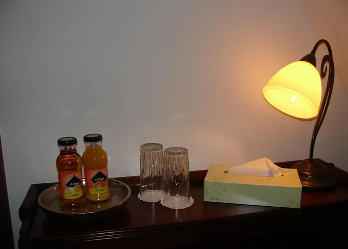 Hotel De Reiziger Ottersum photo