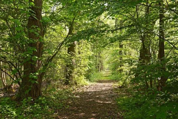 Stichting InnEssence Stokershorst Nederweert-Eind Foto